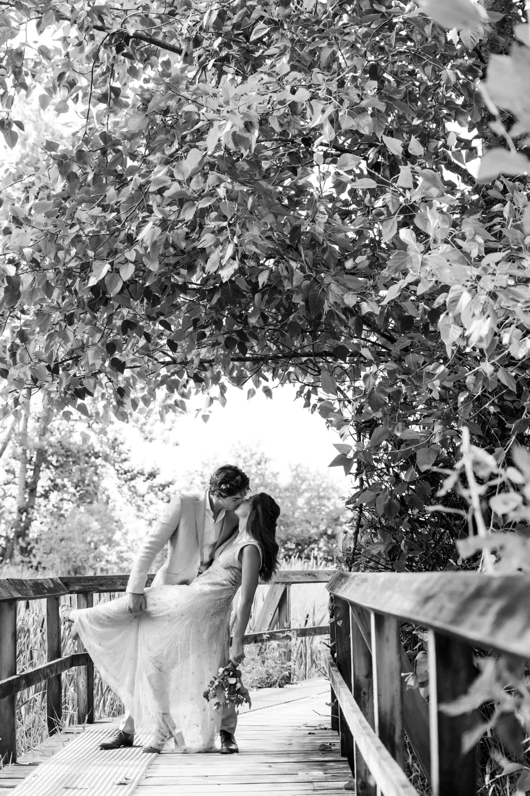 Website Images