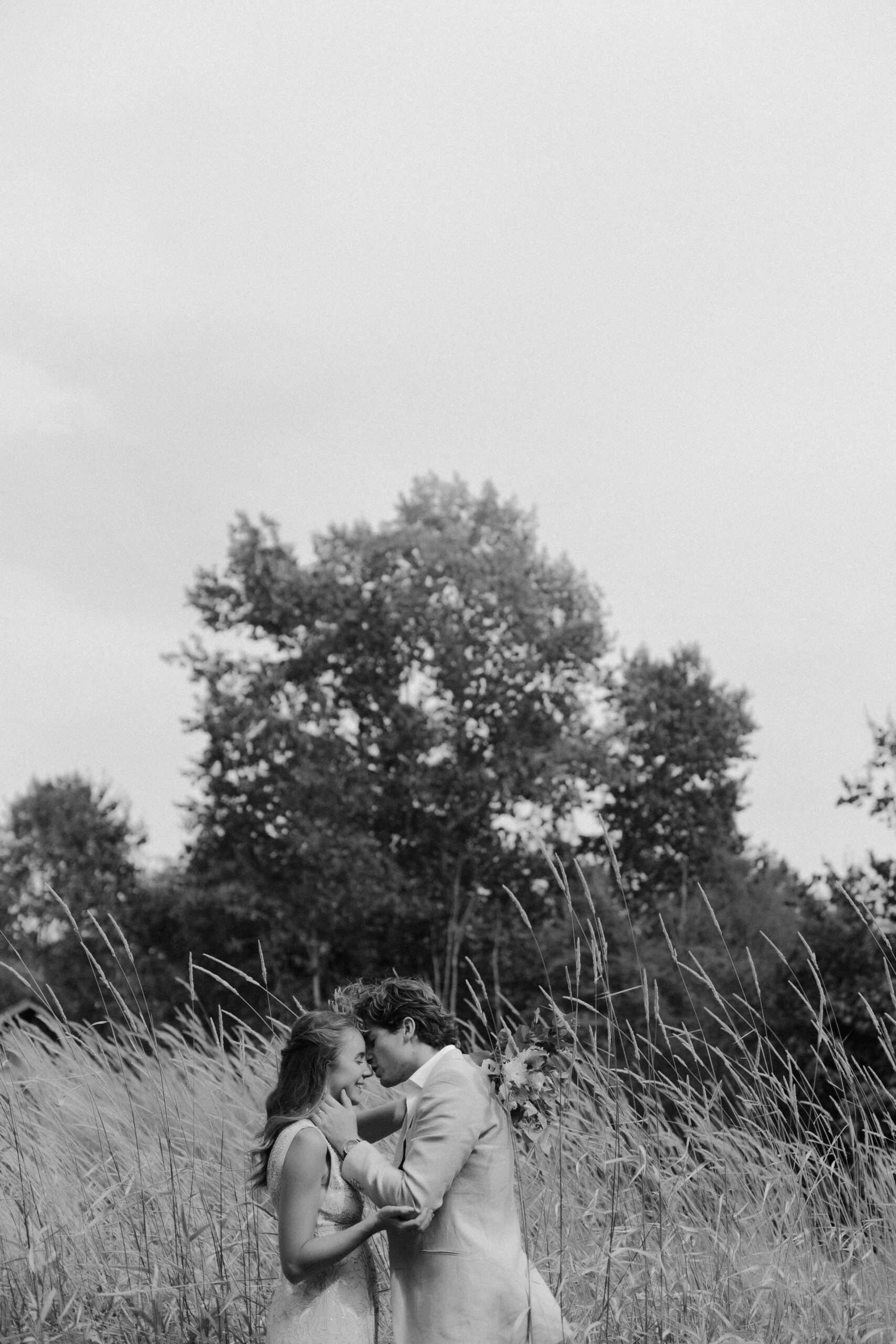 Website Images
